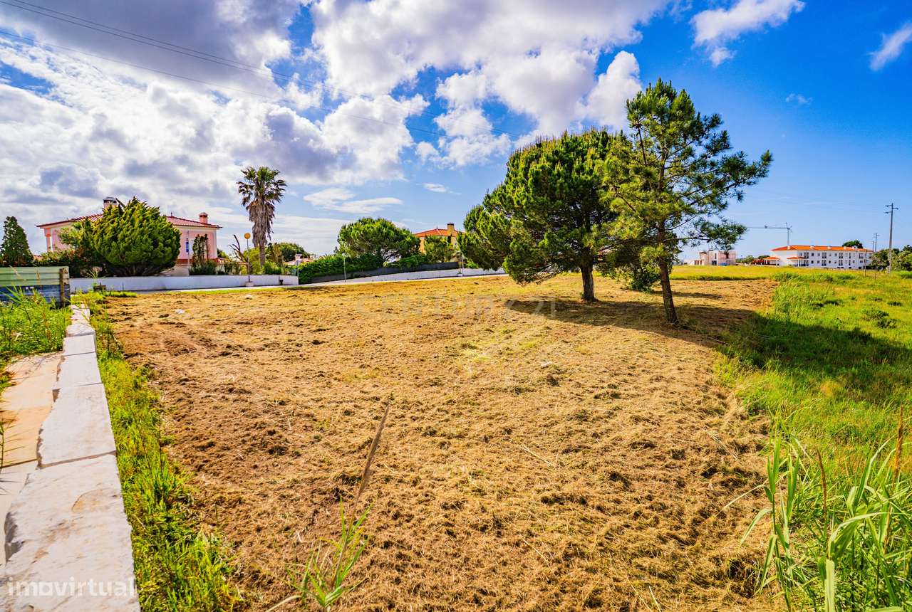 Terreno no Nadadouro-30