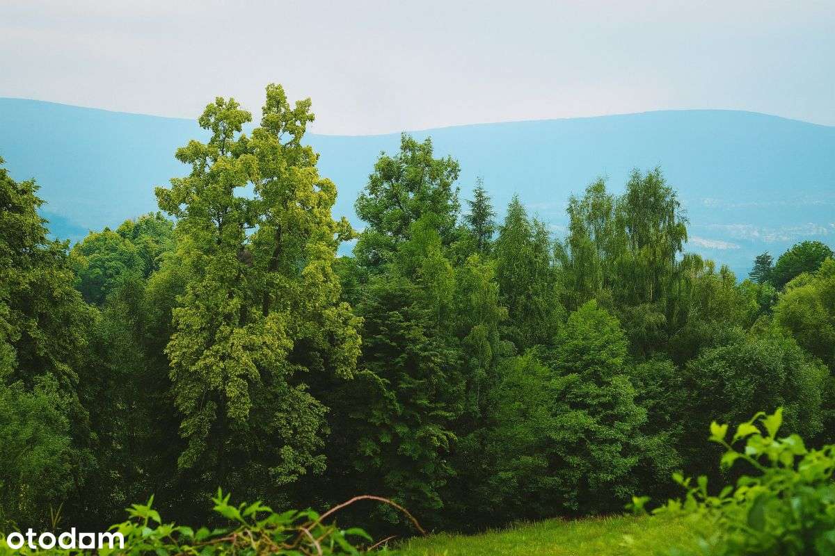 Kowary ul. Pensjonatowa, widokowa działka 804 m2-4