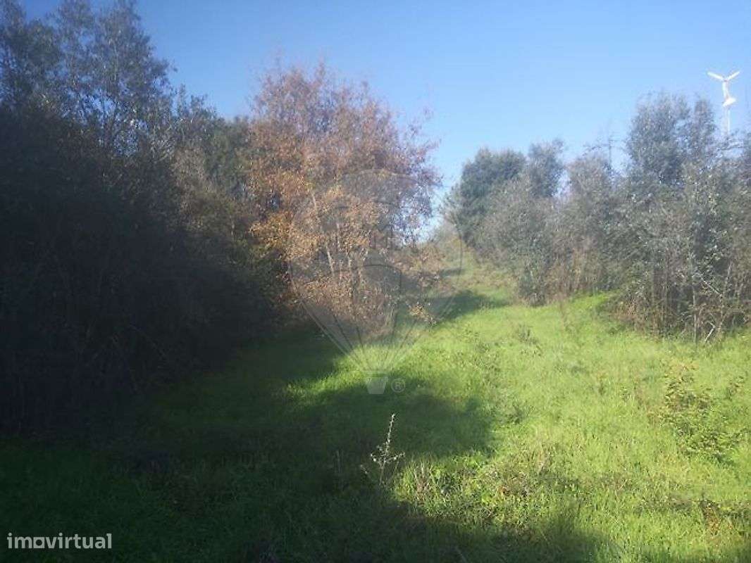 Terreno  para venda - Grande imagem: 3/7