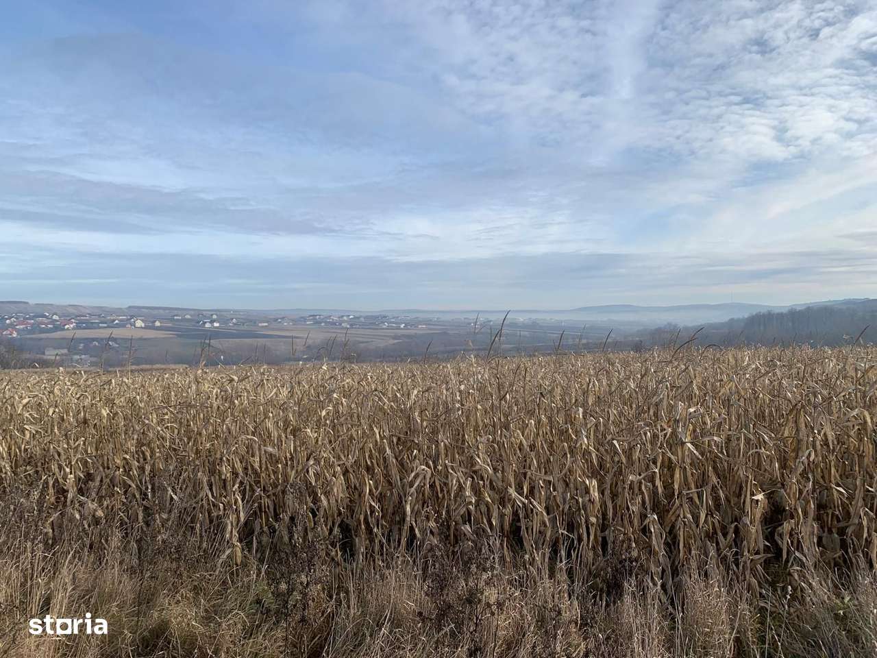 Teren intravilan de vânzare | Cajvana | 7.800 mp-4