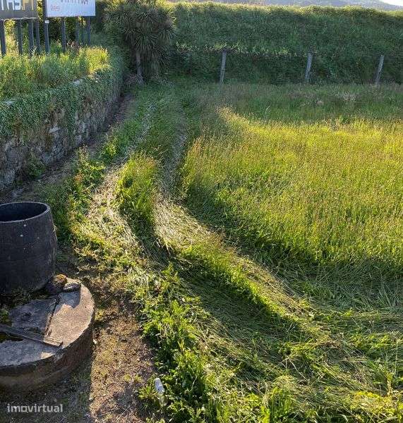 Vende-se Terreno Agrícola com Poço e Motor - Grande imagem: 4/8
