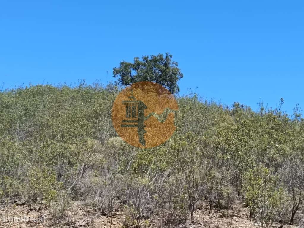 TERRENO COM 10.160 M2 - PRÓXIMO A CORTE DO GAGO - CASTRO MARIM - AL... - Grande imagem: 4/33