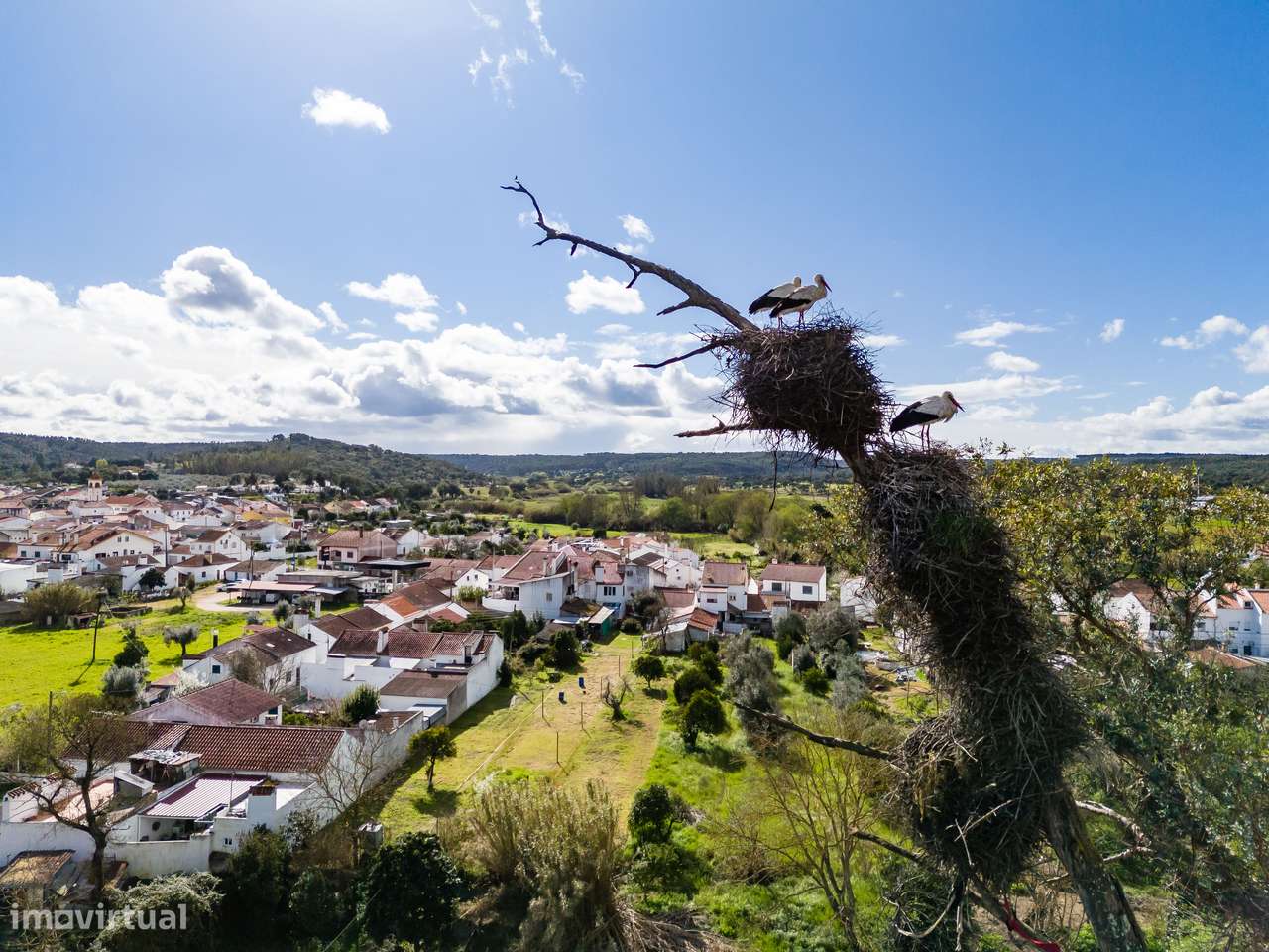 MORADIA T1 + ANEXOS E TERRENO | BEMPOSTA | ABRANTES-5