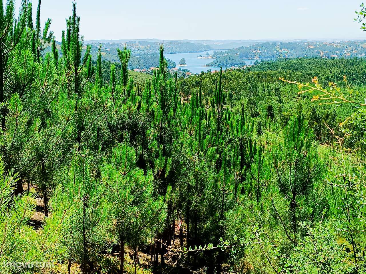 Abrantes,  Cabeça Gorda - Terrenos com Ruína – Moradia para Reconstrui-20