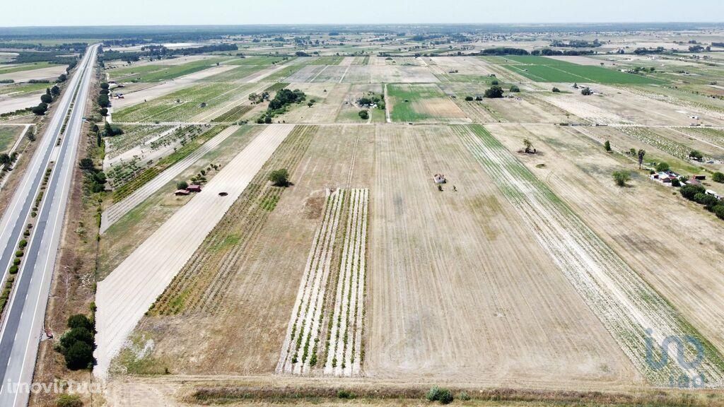 Quinta T2 em Santarém de 100,00 m2