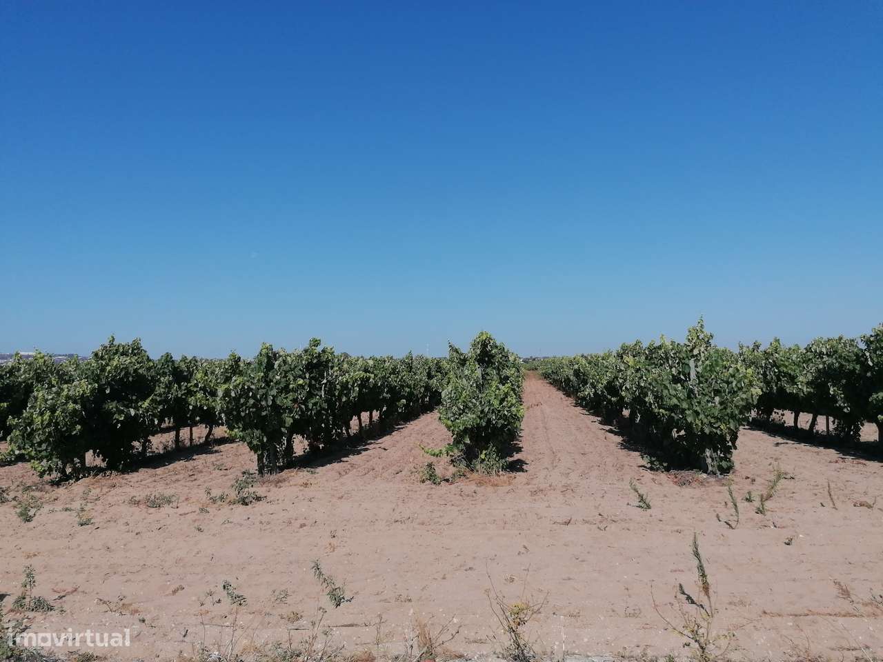 Vende-se Terreno Rústico com 57.375 m2 – Areias Gordas – Palmela - Grande imagem: 5/14