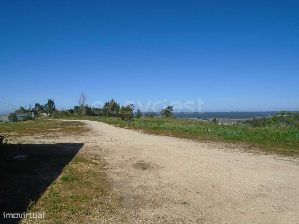 Armazém inserido num Terreno Urbano com 7500m2. - Grande imagem: 4/12