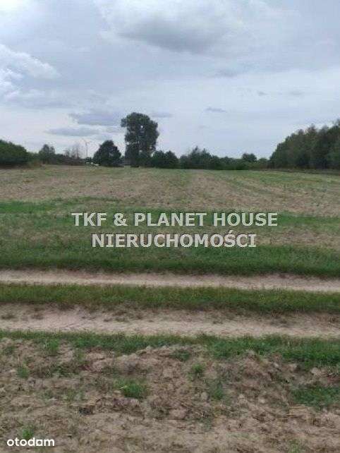 Działka Rolna 9100m2 Werówka gm.Drzewica - Pełny obrazek: 2/4