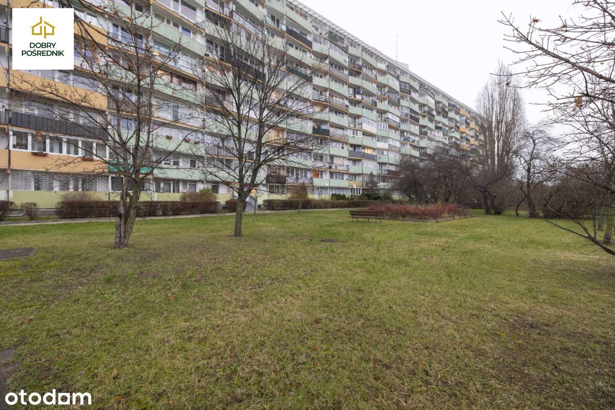 Przymorze | 2 pokoje | po remoncie-14