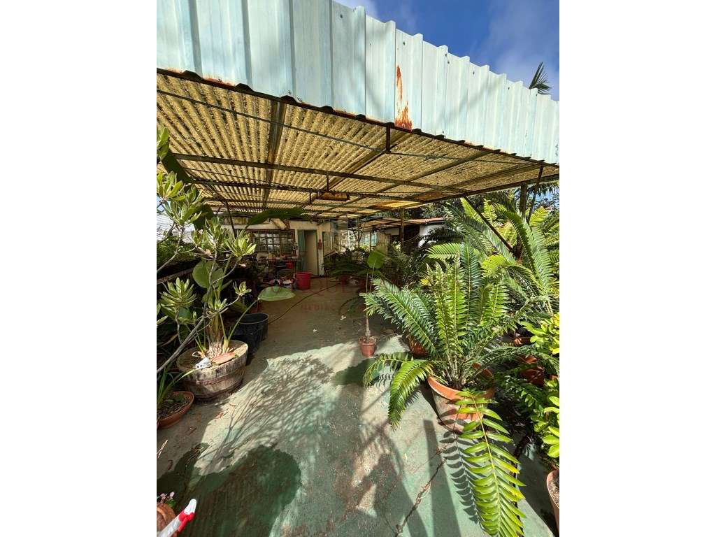 Terreno com 1120m2 em Arcozelo-9