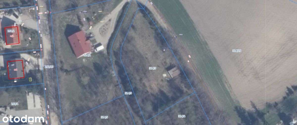 Kielno – działka budowlana z potencjałem usługowym - Pełny obrazek: 5/20