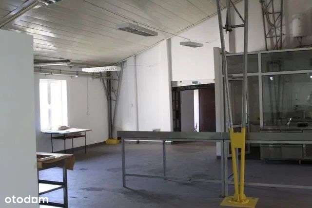 Hala/Magazyn, 677 m², Wieliszew - Pełny obrazek: 4/6