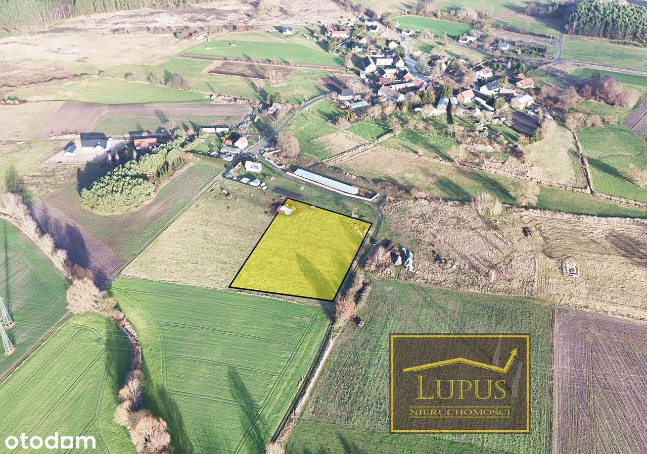 Duża działka w Rekowie - Pełny obrazek: 1/11