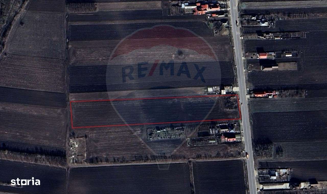 Teren 19,100mp Secuienii Noi / None - Imagine principală: 2/4