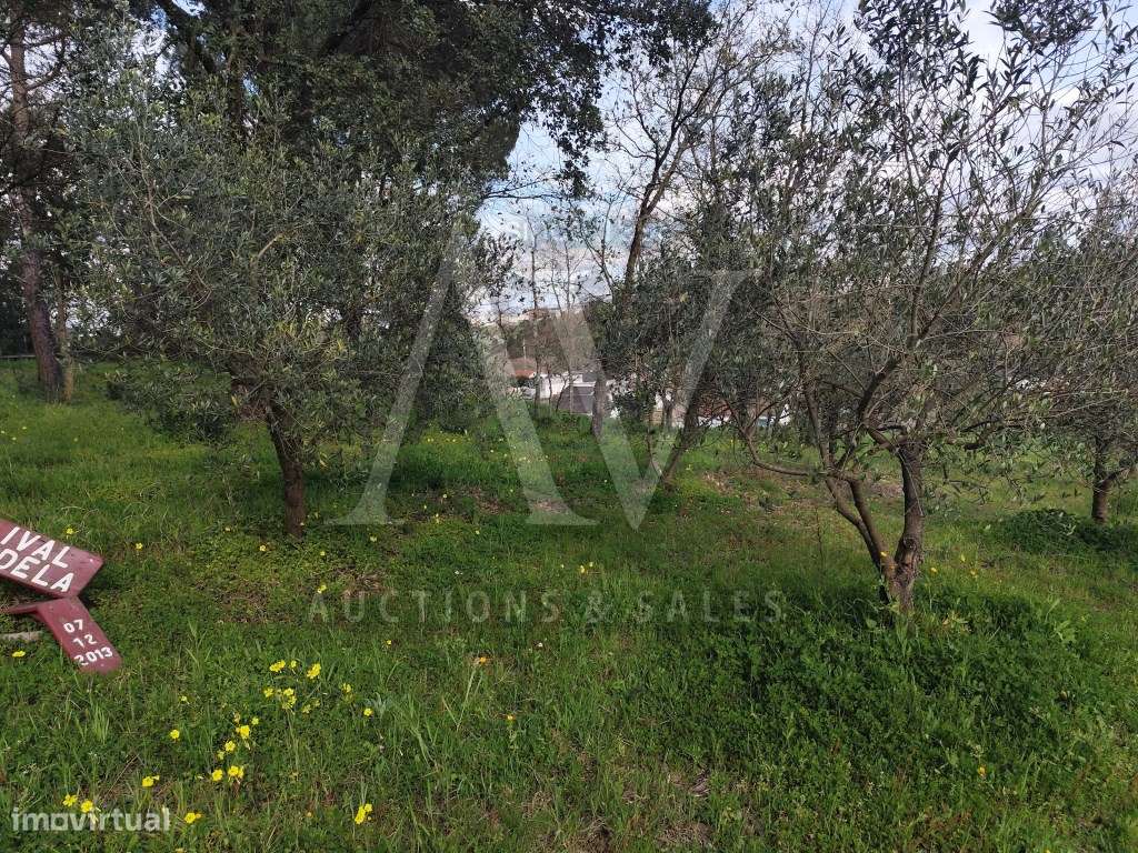 Terreno para construção com área de 2.541 m² - Parceiros, Leiria - Grande imagem: 4/5