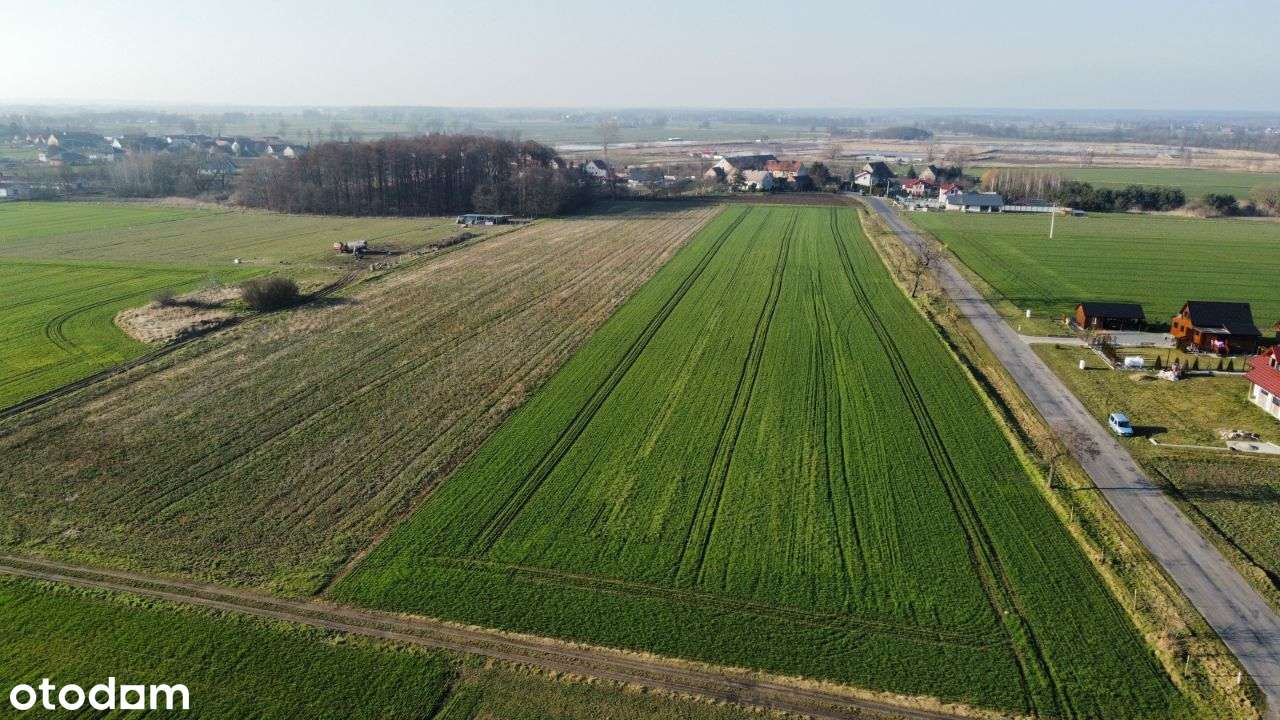 Działka budowlana 800 m2-mpzp-Miłkowice k. Legnicy - Pełny obrazek: 5/5