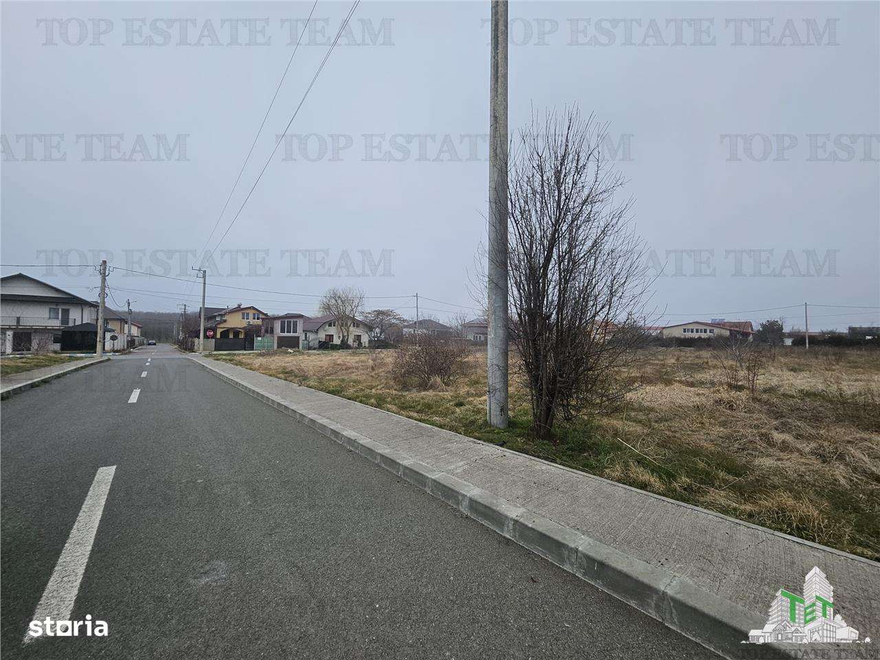 TEREN INTRAVILAN 1000 MP COSTINESTI - Imagine principală: 4/6