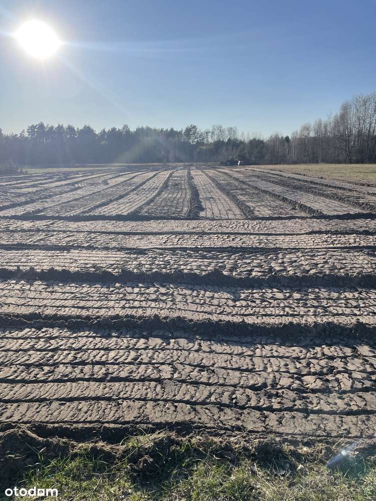 Zbuduj dom/y  w urokliwej okolicy lub zainwestuj (23% VAT ) - Pełny obrazek: 4/5