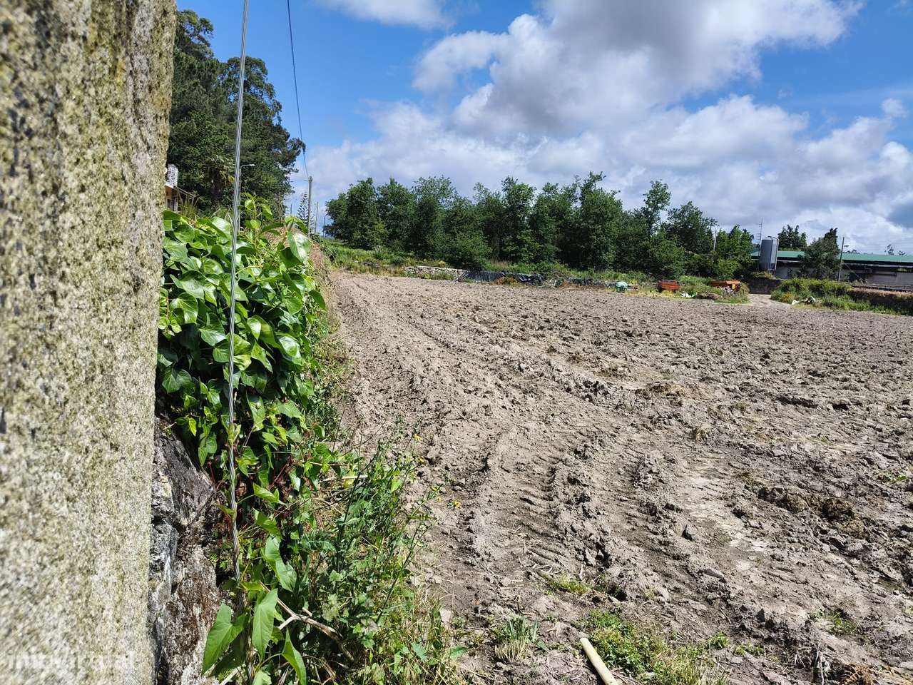 Terreno em Vila Fria, Viana do Castelo - Grande imagem: 5/5