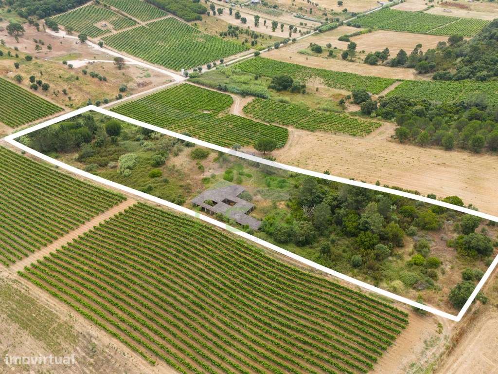 Terreno com 15.840m2 em Aveiras de Cima-15