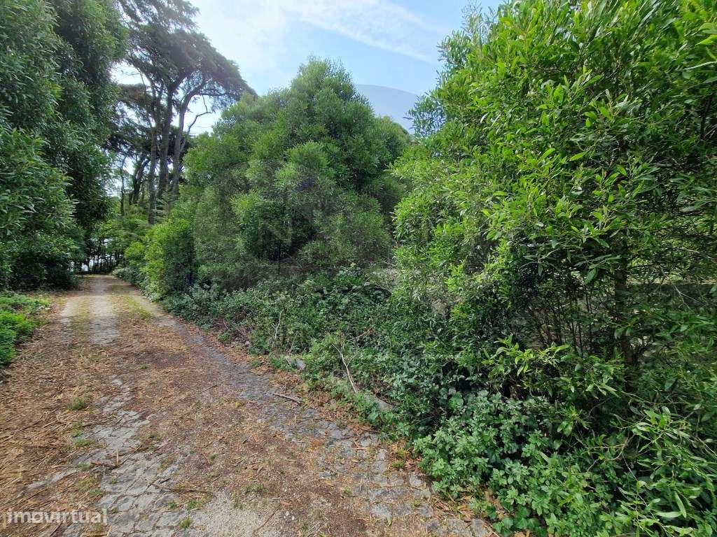 TERRENO SINTRA - Zona Central a 500m do Largo da Feira, a 20 min. d... - Grande imagem: 4/14