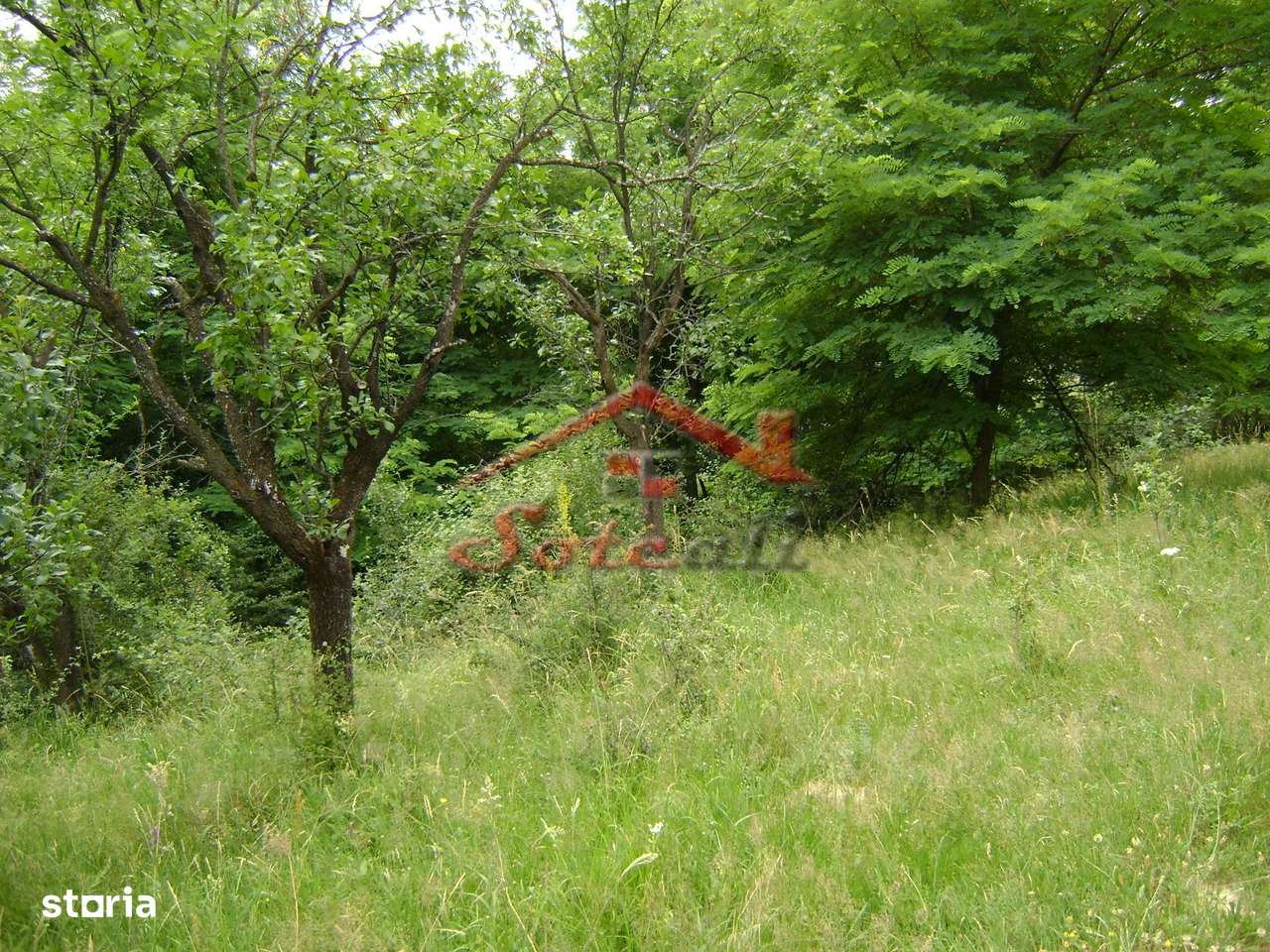 Teren de vanzare Cornu 3074 mp-6