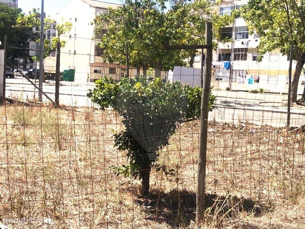 Terreno  para venda - Grande imagem: 4/12