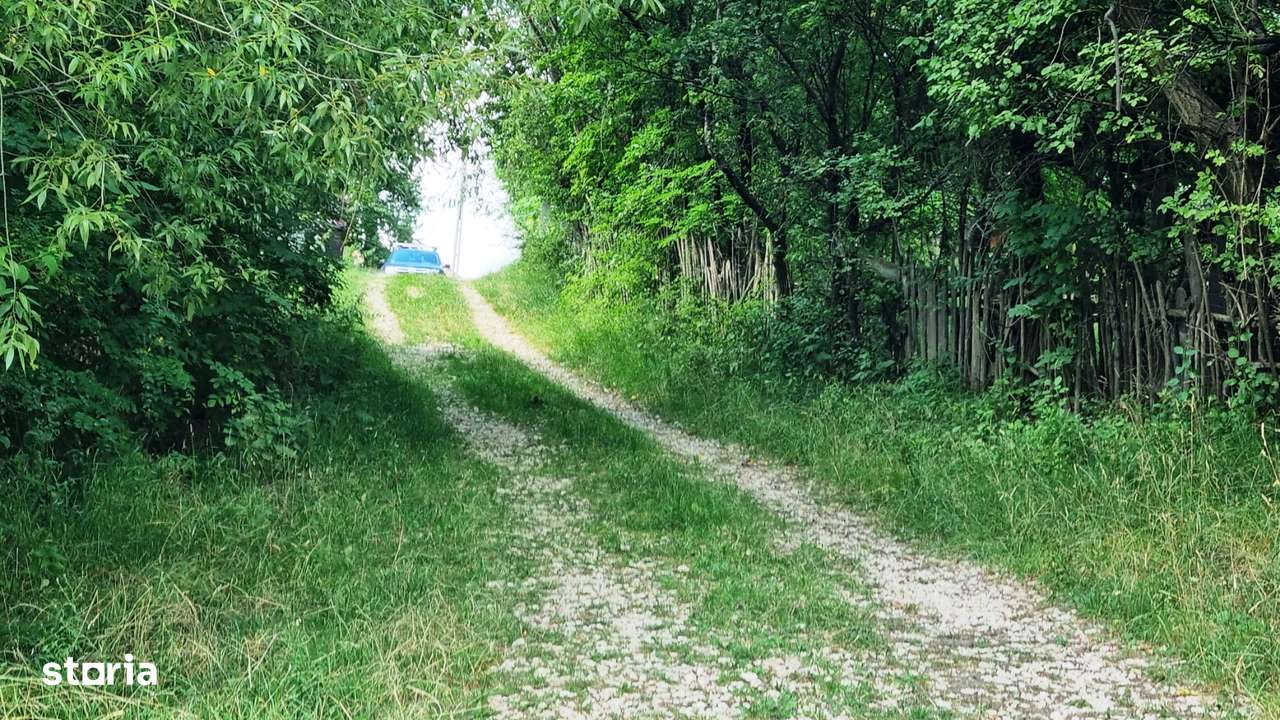 Arges Campul Lung Muscel 5700 mp d=33ml - Imagine principală: 3/12