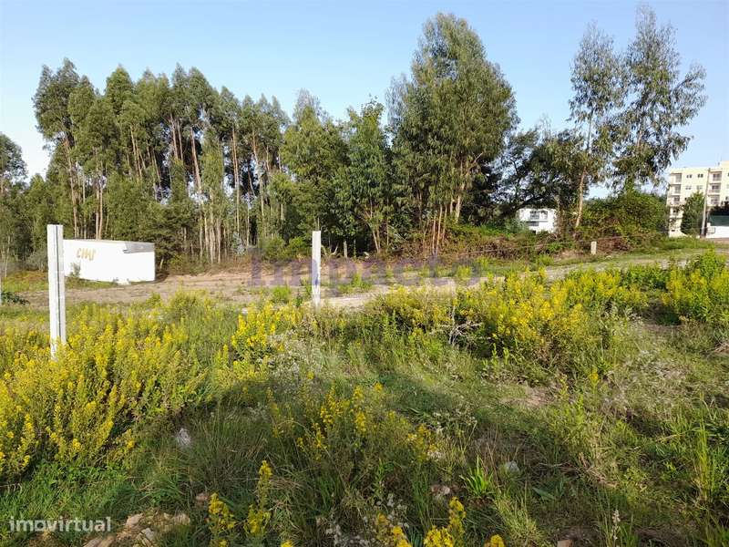 Terreno, Aveiro, Santa Maria da Feira - Grande imagem: 4/5