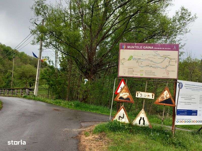 Teren-5000 mp pe drumul spre Muntele Gaina - Imagine principală: 5/7