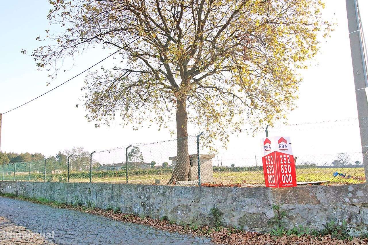 Terreno na Lama - Grande imagem: 2/10