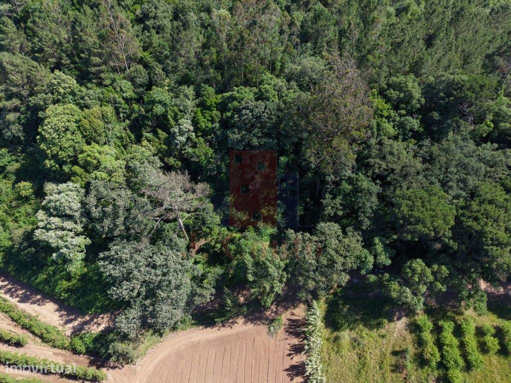 Terreno Rústico com 5.900 m² junto ao Rio Arnóia-17