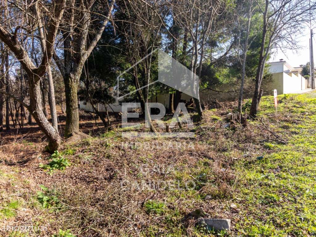 Lote com 760 m² Para Moradia - Grande imagem: 3/6