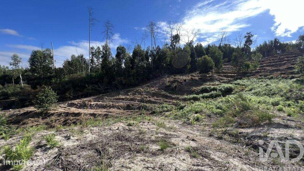 Terreno em Travanca de 24500,00 m2 - Grande imagem: 5/8