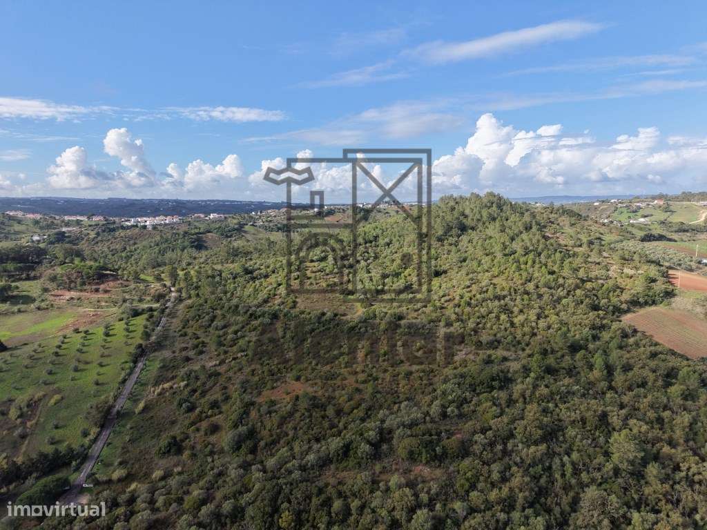 Oportunidade Única de Investimento Agrícola em Alenquer-5