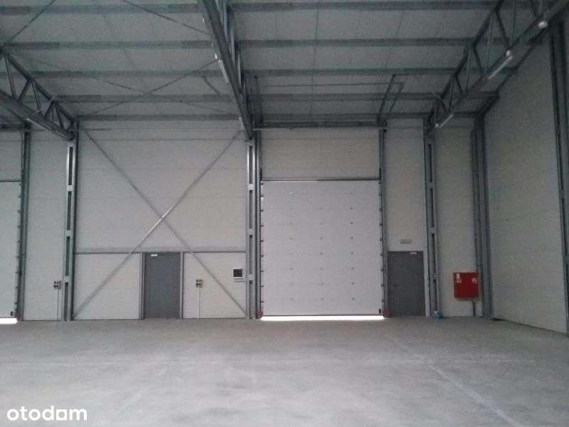 Hala 1.000 m2, plac i biuro w Chwaszczynie k/Gdyni - Pełny obrazek: 4/7