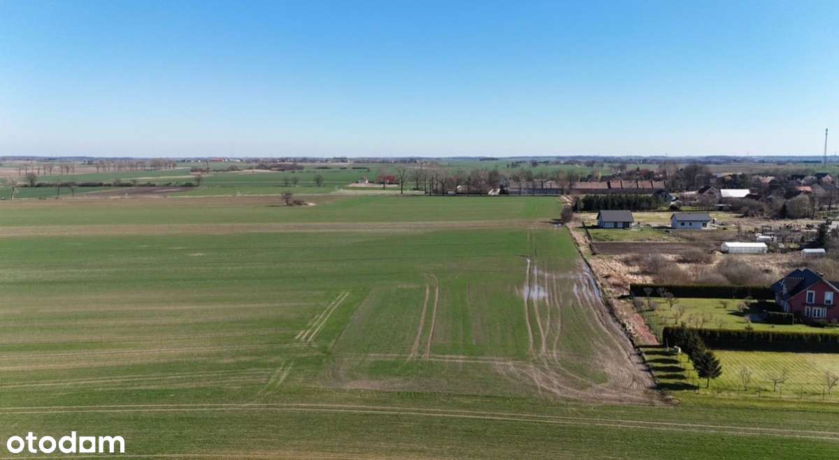 Na sprzedaż działka budowlana 4600 m2 - Pełny obrazek: 4/10