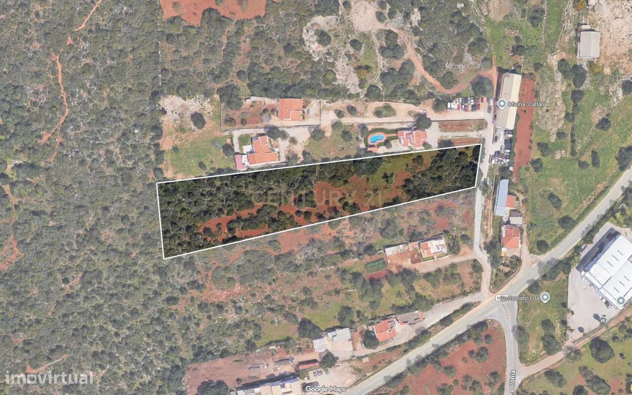 Terreno com 9.135 m² em Boliqueime-6