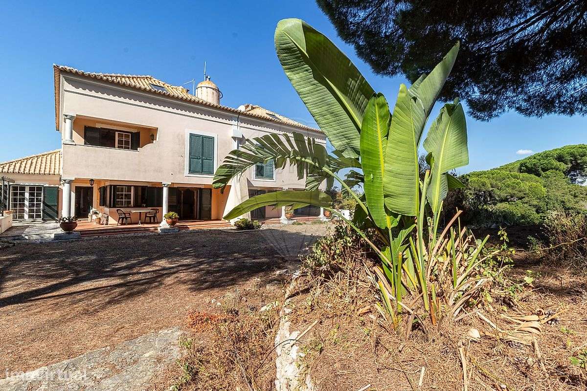 Moradia T14 para venda - Grande imagem: 3/48