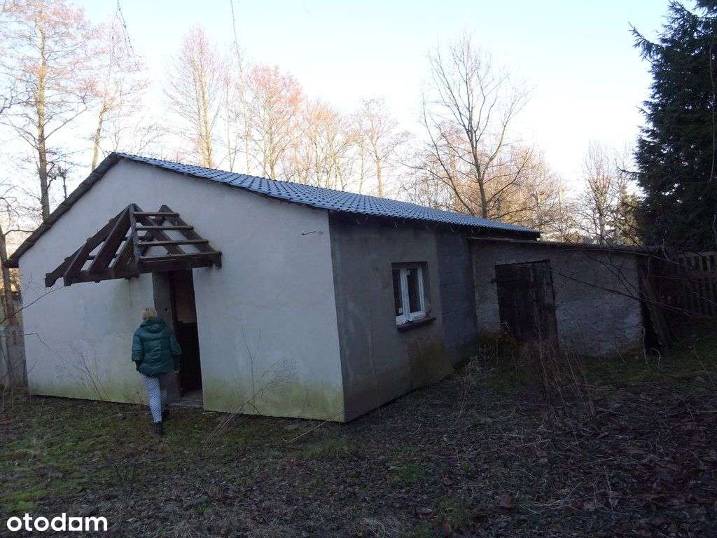 Dwa domy z dużą działką.-11