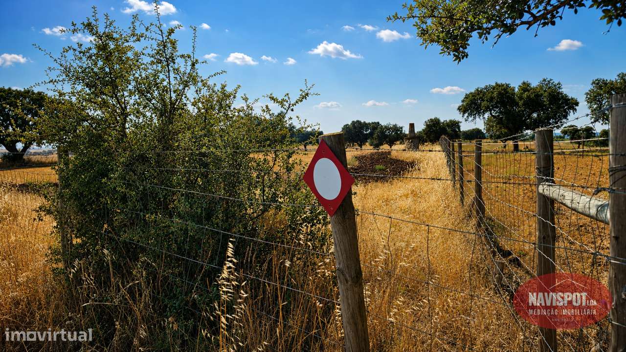 Herdade com 750 hectares no Alentejo-18