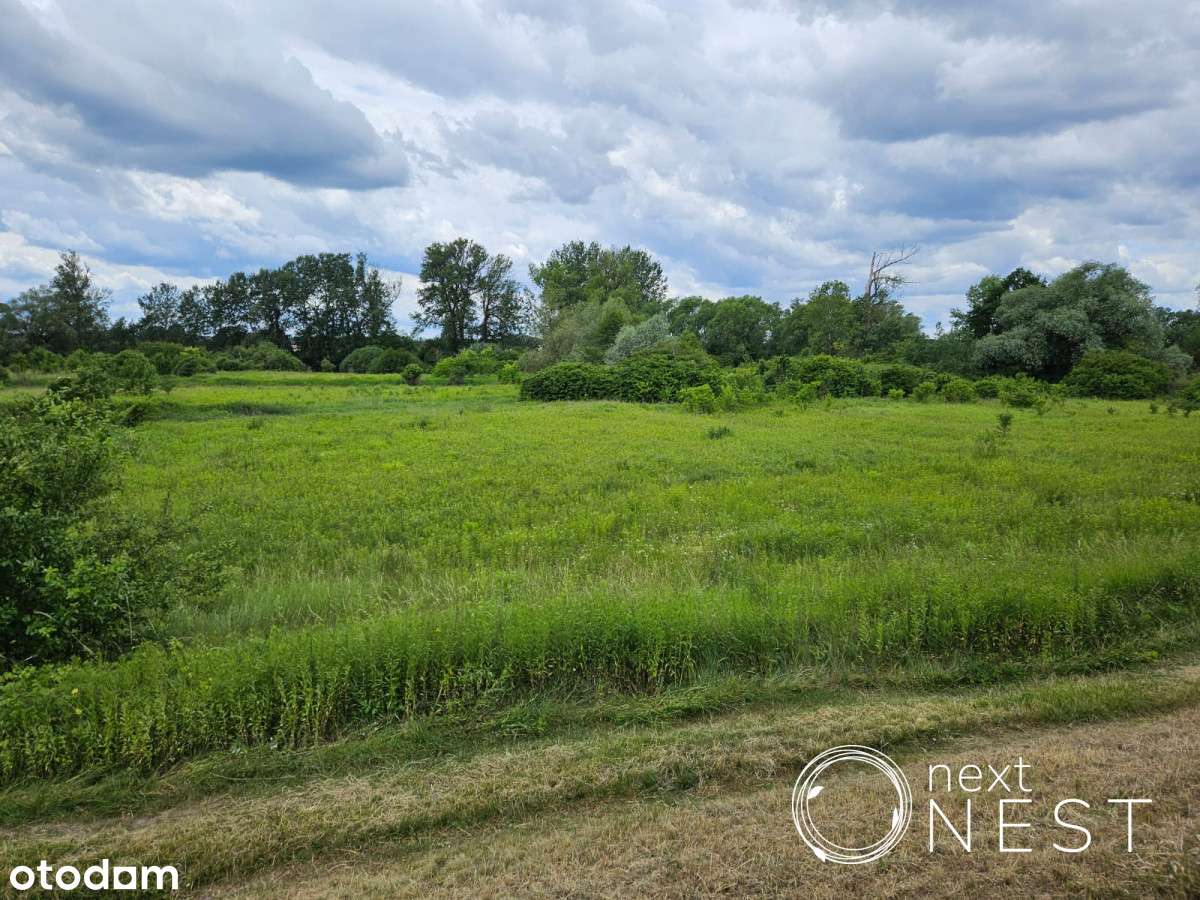 Teren rolno-budowlany 8 km od centrum Konstancina - Pełny obrazek: 3/14