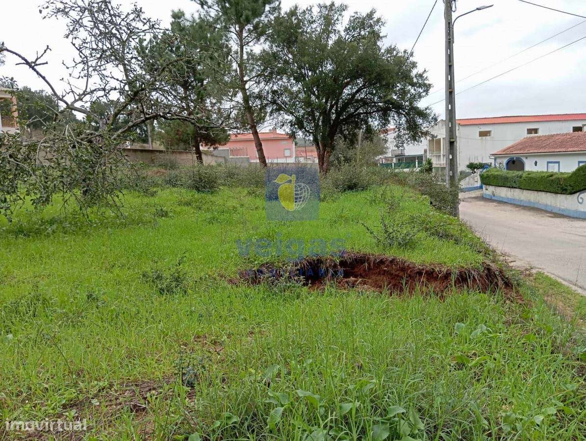 Terreno Salir de Matos - Grande imagem: 4/10