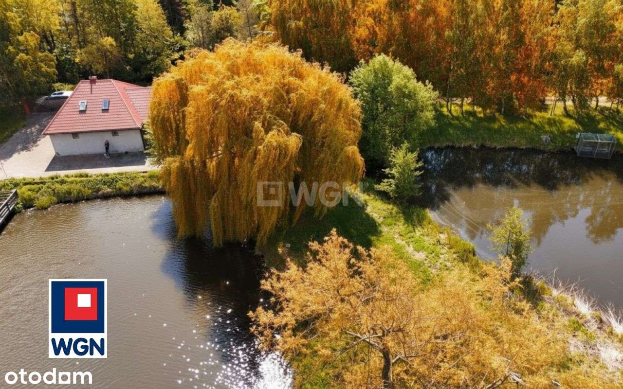 Stawy Łowisko komercyjne z domem Sokołowice - Pełny obrazek: 5/20
