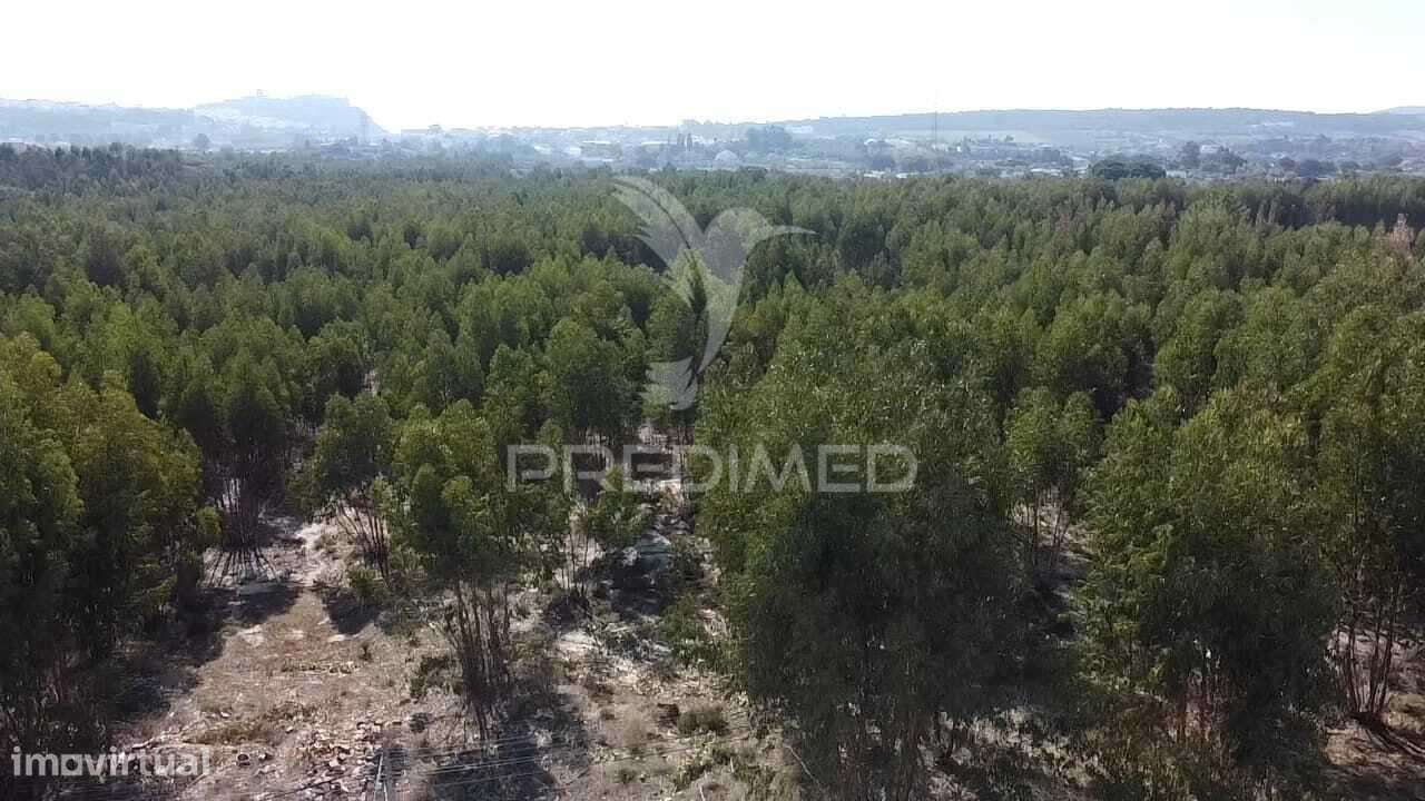 Lote de Terreno em Palmela - Grande imagem: 3/29