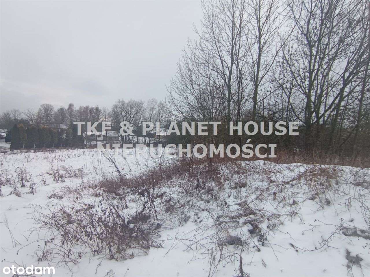 Działka 4300 m2 z domem z bala Pilichowice-4