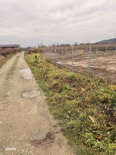 Teren Intravilan Dej (viile dejului ) 24000€ 600 mp - Imagine principală: 4/4