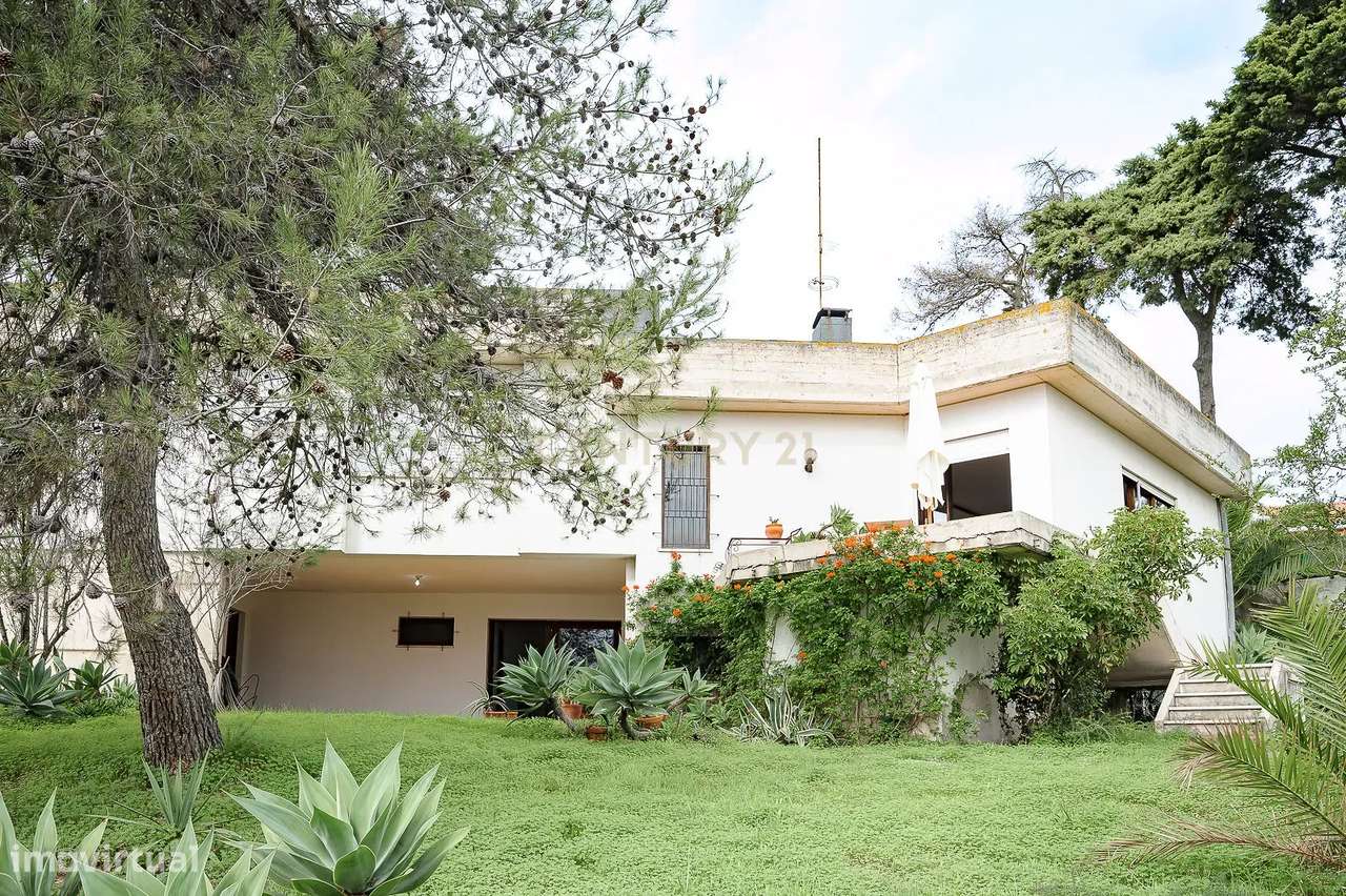 Moradia Contemporânea dos Anos 70 em Brancanes, Setúbal - Grande imagem: 2/47