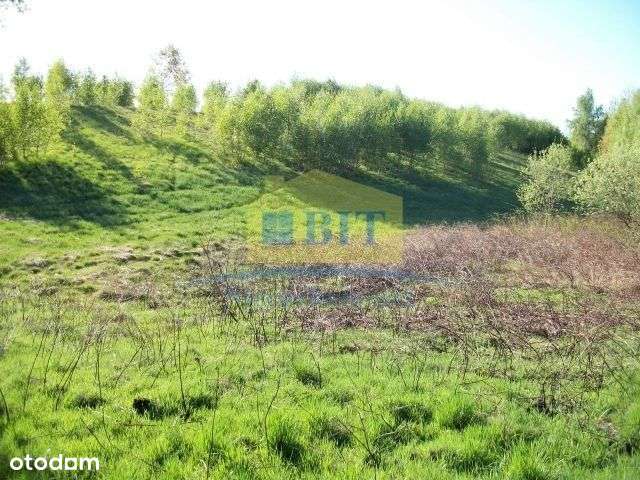 Działka 2,19 ha, przy jeziorze Drawsko-5