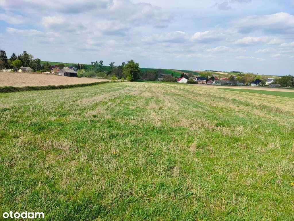 Siedlisko na sprzedaż – Jaślików,  ha ziemi - Pełny obrazek: 5/7